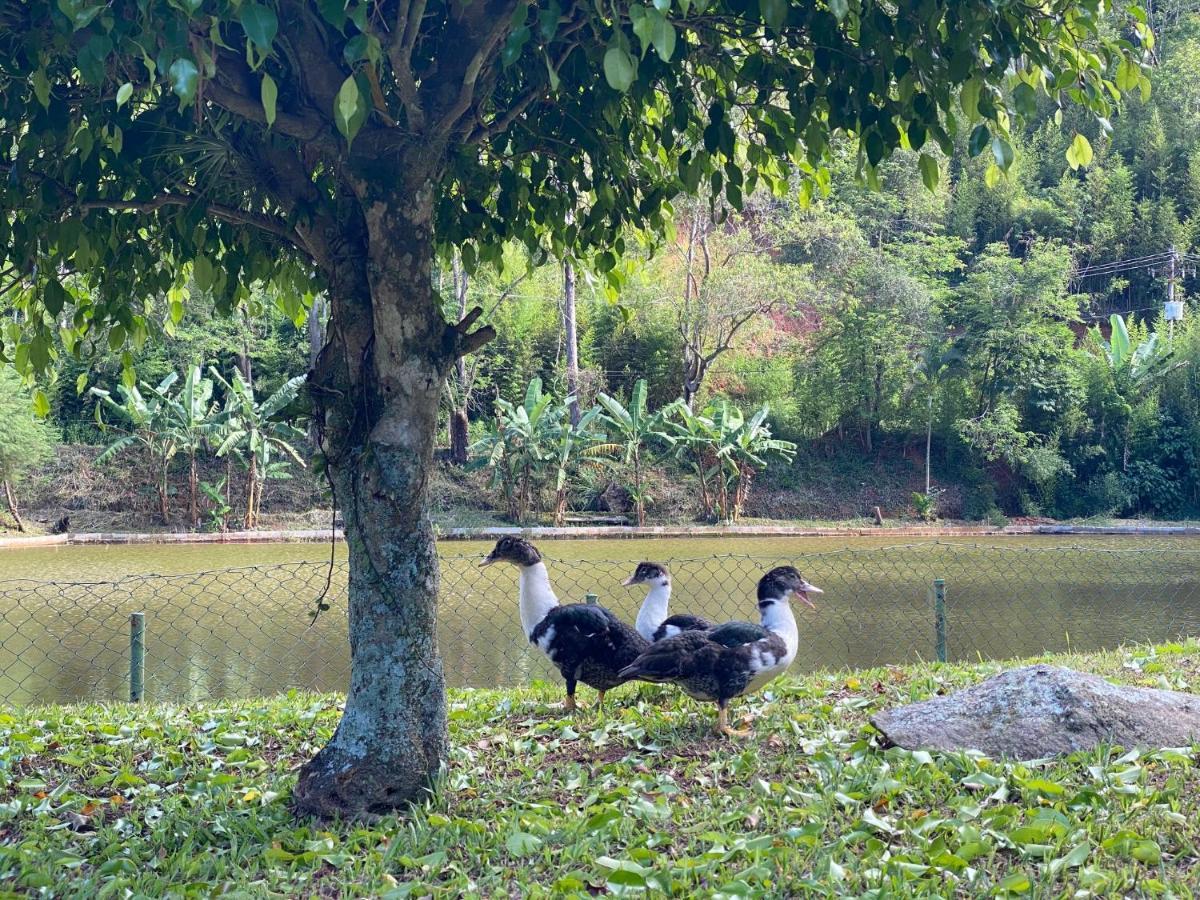 Hotel Fazenda Bonanza Engenheiro Paulo de Frontin Esterno foto