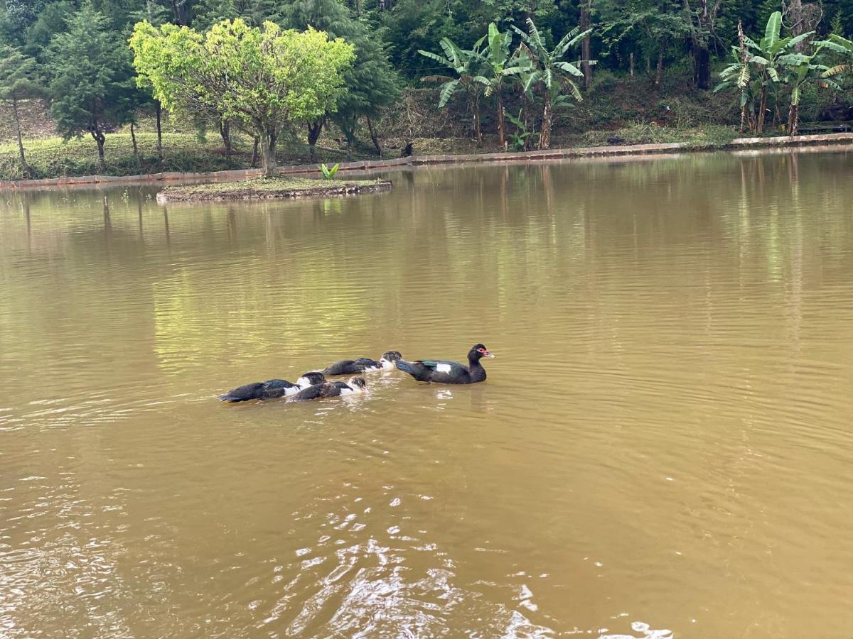 Hotel Fazenda Bonanza Engenheiro Paulo de Frontin Esterno foto