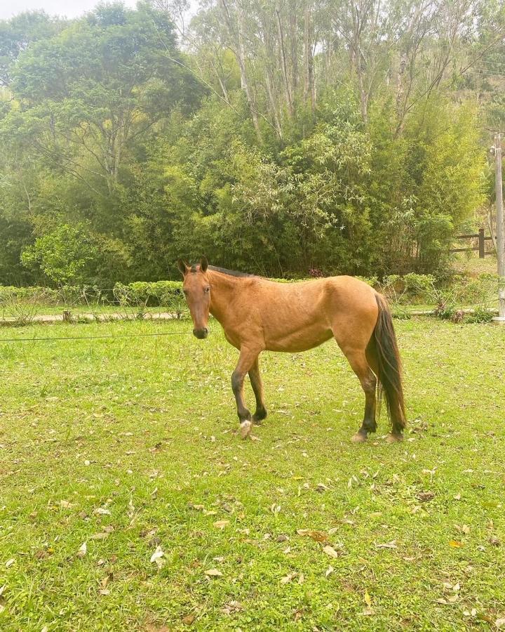 Hotel Fazenda Bonanza Engenheiro Paulo de Frontin Esterno foto