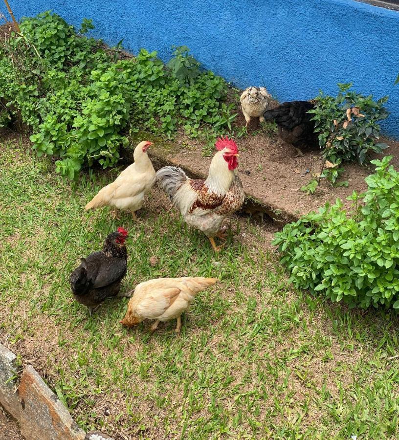 Hotel Fazenda Bonanza Engenheiro Paulo de Frontin Esterno foto