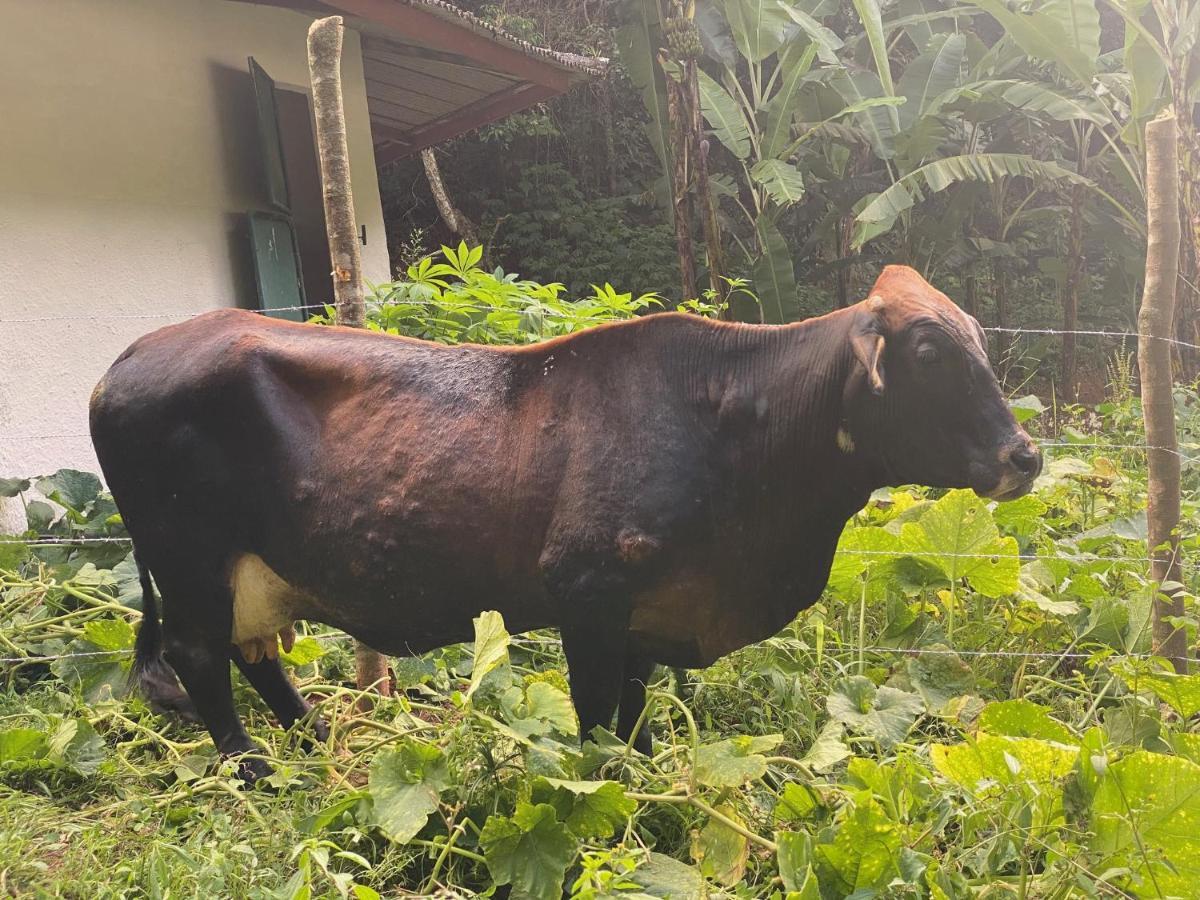 Hotel Fazenda Bonanza Engenheiro Paulo de Frontin Esterno foto
